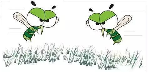 秋蚊子格外猛、特別毒，疾控專家教您如何防蚊蟲